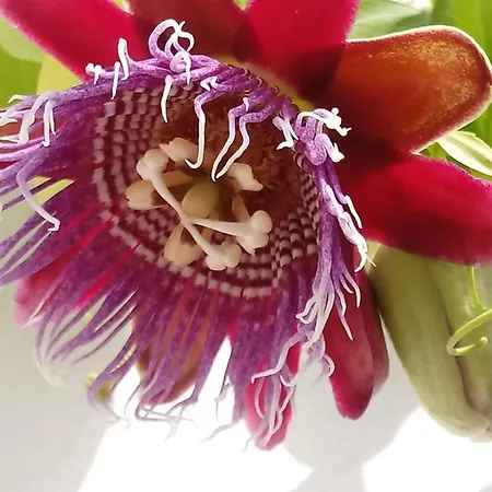 Espana Gasthof Cádiz