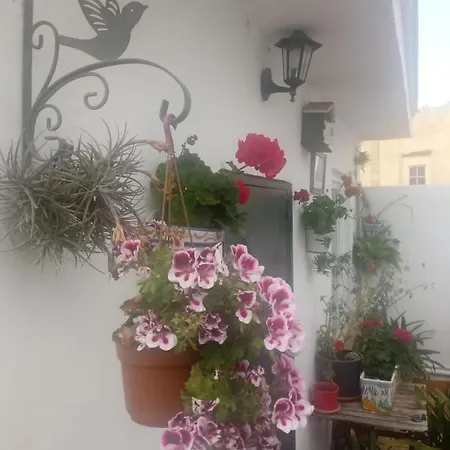 Guest house Espana
