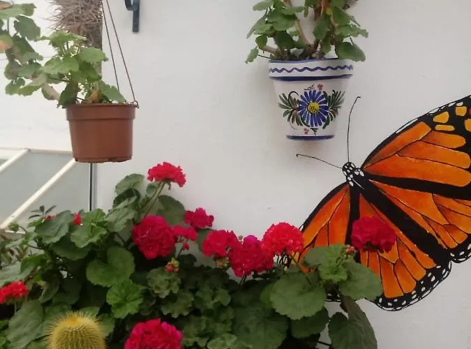 Гостьовий будинок Espana *